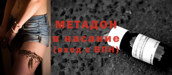 дживик Ельня