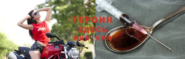 дживик Ельня
