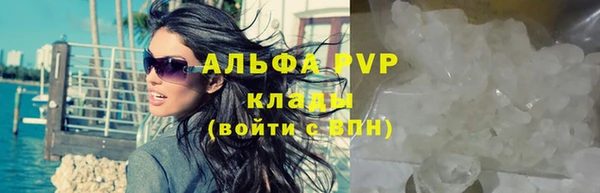 амф Елабуга