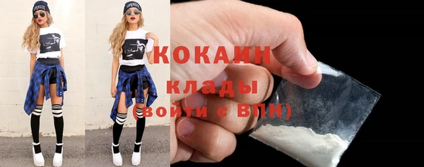 дживик Ельня