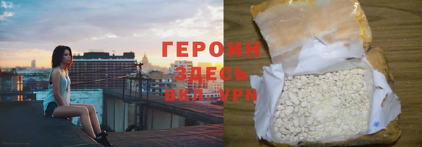 дживик Ельня