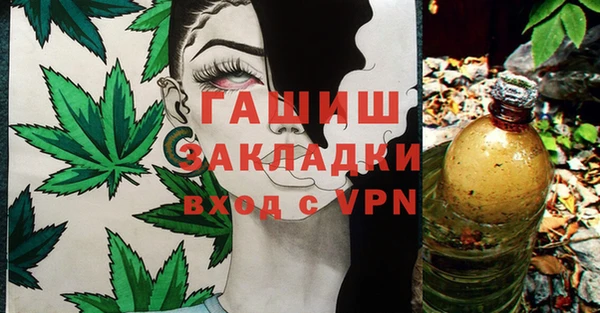 дживик Ельня