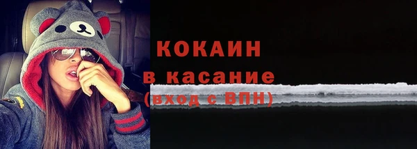 дживик Ельня