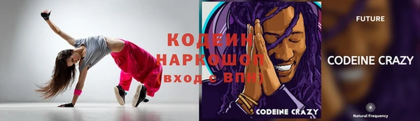 дживик Ельня