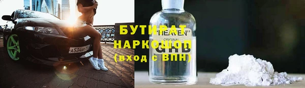 дживик Ельня