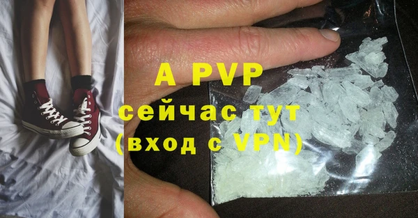 дживик Ельня