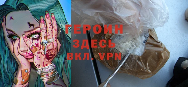 дживик Ельня