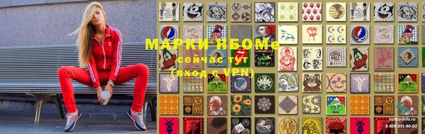 дживик Ельня
