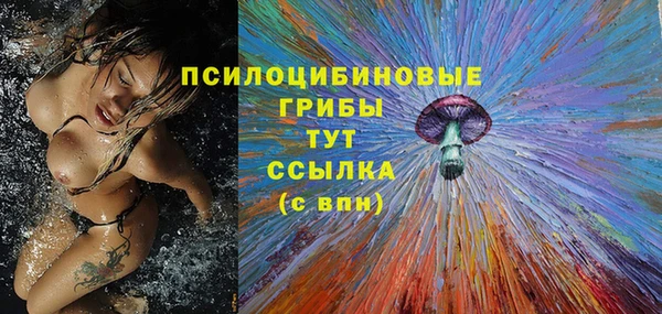 эйфоретик Елизово