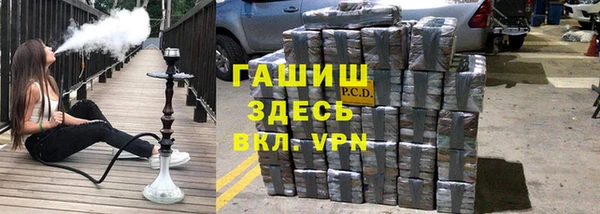 дживик Ельня