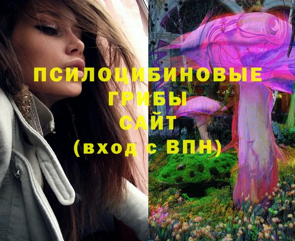 амф Елабуга