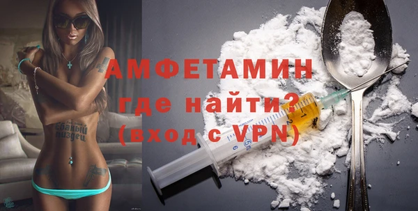 дживик Ельня