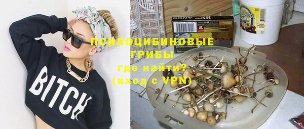 амф Елабуга