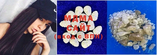 дживик Ельня