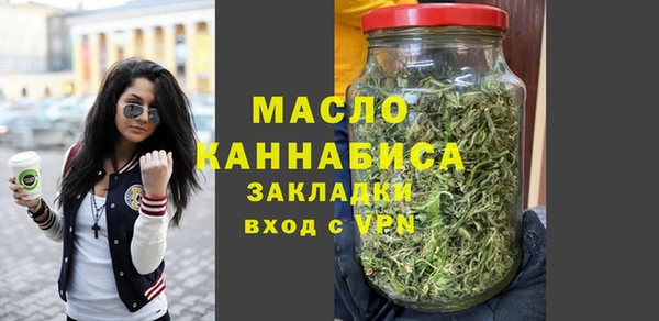 дживик Ельня
