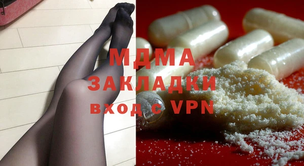 дживик Ельня