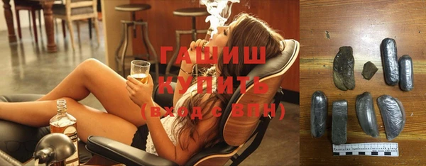 дживик Ельня