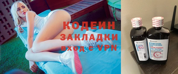 дживик Ельня