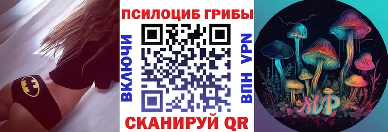 Галлюциногенные грибы Psilocybe  Купить где  Озёры 